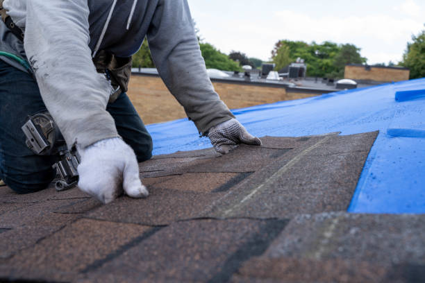 Residential Roof Replacement in Meadow Woods, FL
