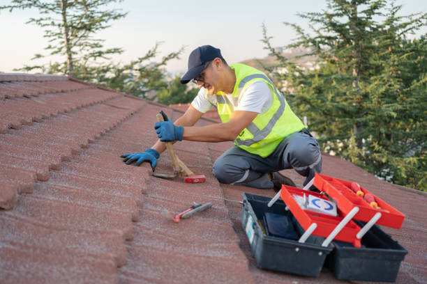 Best Gutter Installation and Roofing  in Meadow Woods, FL
