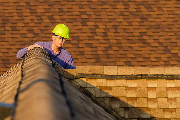 Best Roof Gutter Cleaning  in Meadow Woods, FL
