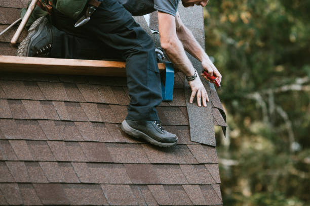 Gutter Installation and Roofing in Meadow Woods, FL