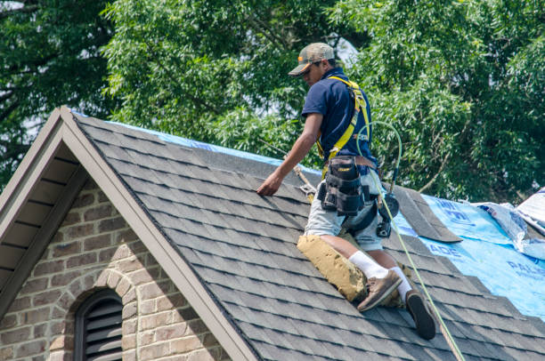 Best New Roof Installation  in Meadow Woods, FL