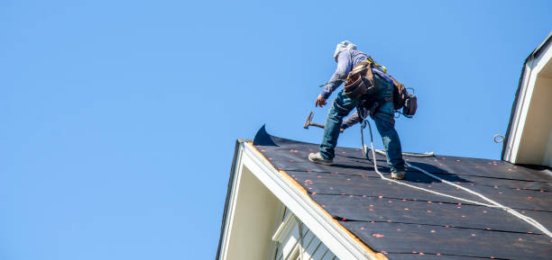 Best New Roof Installation  in Meadow Woods, FL